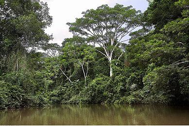 《终极钓鱼模拟器》新DLC 前往佛罗里达玩海钓